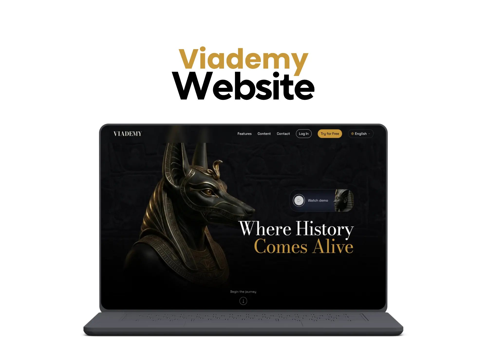 Viademy Hero